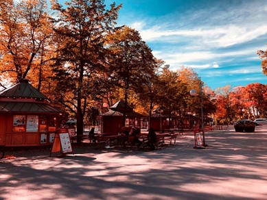 Autumn at Skansen